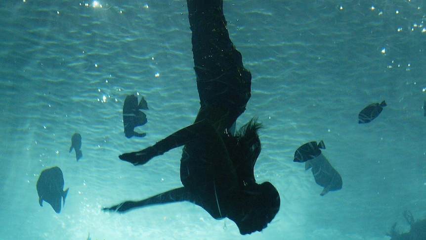 the silhouette of a mermaid swimming 